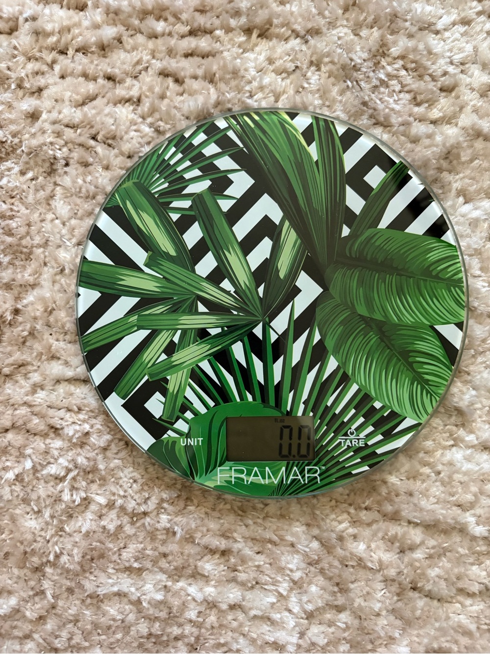 Framar Scale - Picture 3 of 4